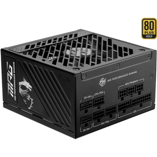 MSI MPG A1000GS PCIE5, alimentation PC - MSI