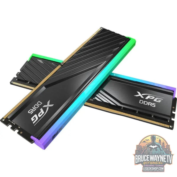 ADATA DIMM 48 GB DDR5-6000 (2x 24 GB) Dual-Kit, Arbeitsspeicher - ADATA