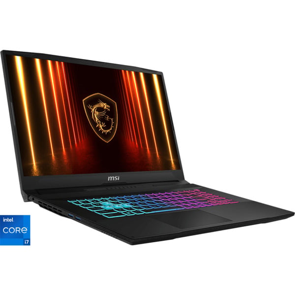 MSI Katana 17 HX B14WFK-227, Gaming-Notebook