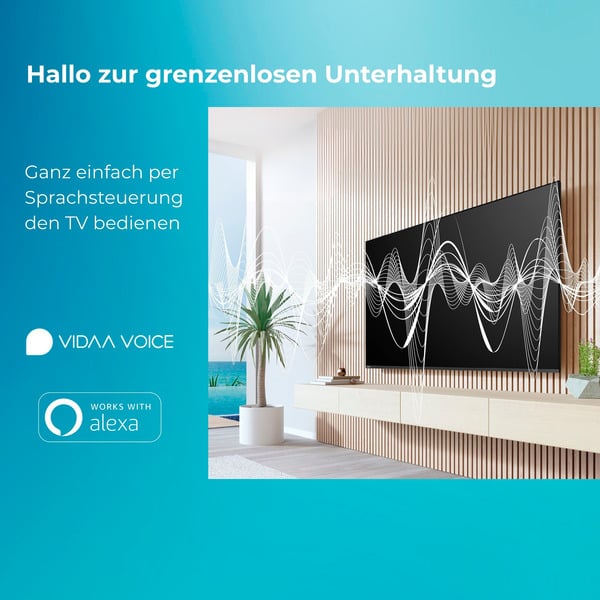 Toshiba 24WV2F63DAZ, LED-Fernseher - Toshiba - vue 9