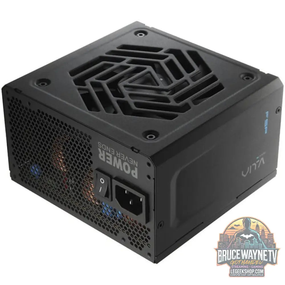 FSP VITA GM 750W, alimentation PC - FSP - vue 11