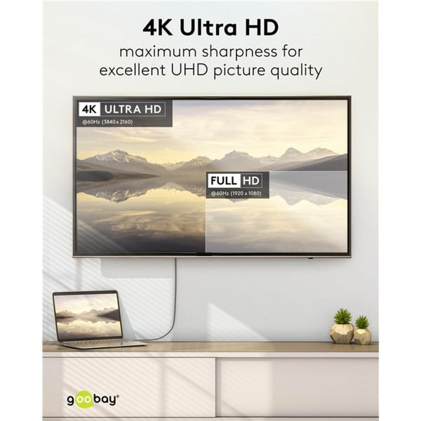 goobay USB Adapterkabel, USB-C Stecker > DisplayPort Stecker, 4K 60Hz - goobay - vue 8
