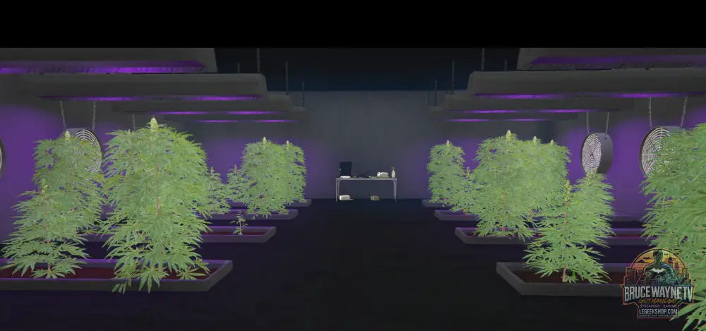 La Mesa Gang Compound, Complexe de Gang MLO FiveM - FiveM MLO
