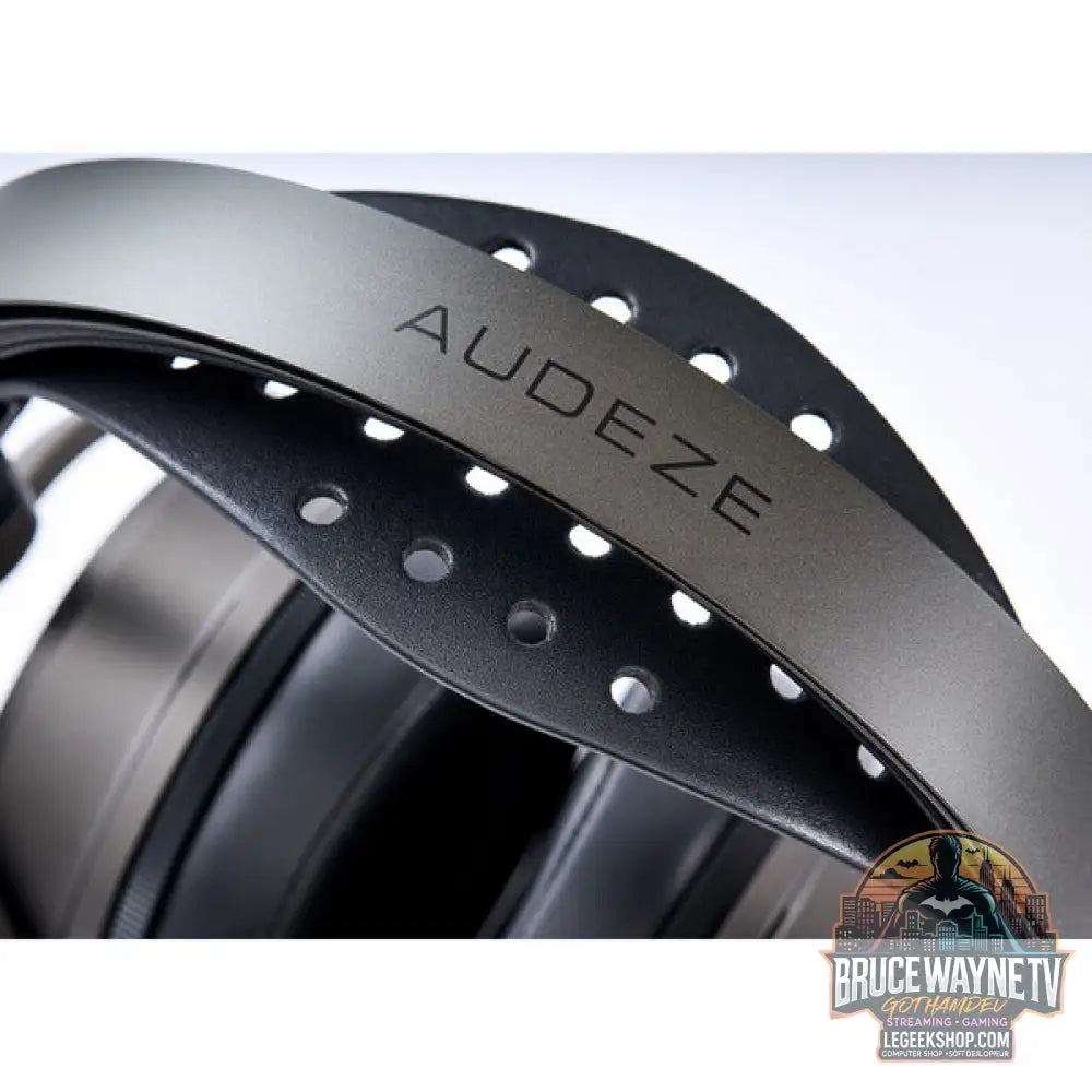 Maxwell 2 Wireless - Audeze - vue 11