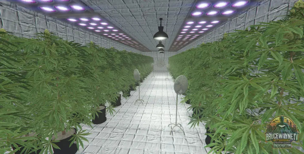 Quartier du Bronx MLO FiveM - Gang RP Paleto Bay - Superette Tacos Planque 100% Optimise - FiveM MLO