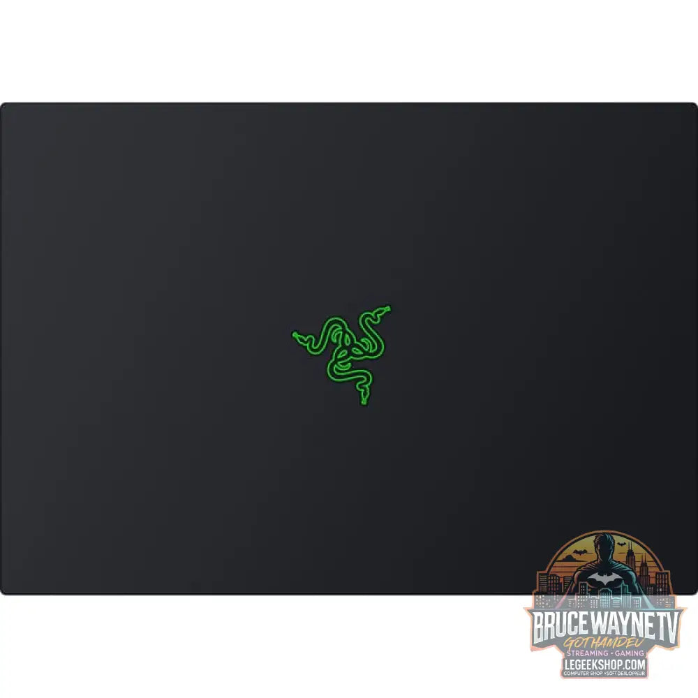 Razer Blade 16 (RZ09-05818GN4-R3G1), Gaming-Notebook - vue 9