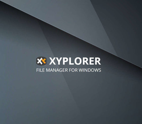 Xyplorer - Mini Site Professional CD Key (50 Users)